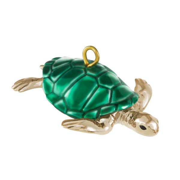 Teeny Turtle