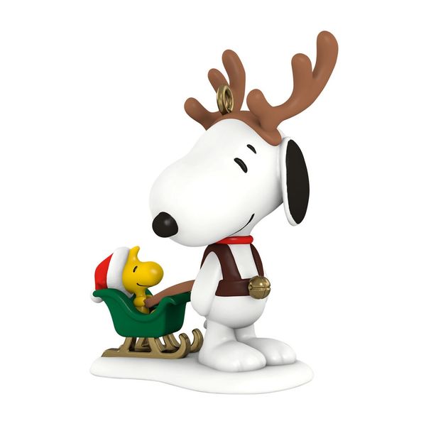 Winter Fun With Snoopy