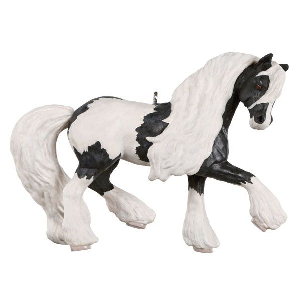 Gypsy Vanner