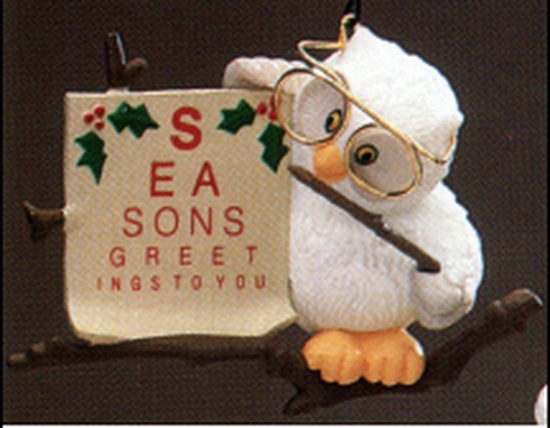 Owliday Wish