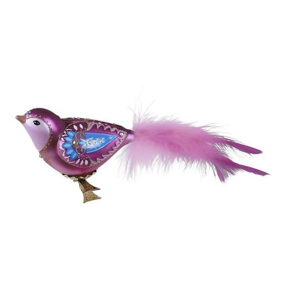 Beautiful Bird