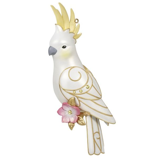 Captivating Cockatoo