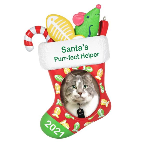 Santa's Purr-fect Helper