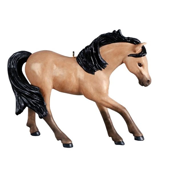 Dream Horse Buckskin
