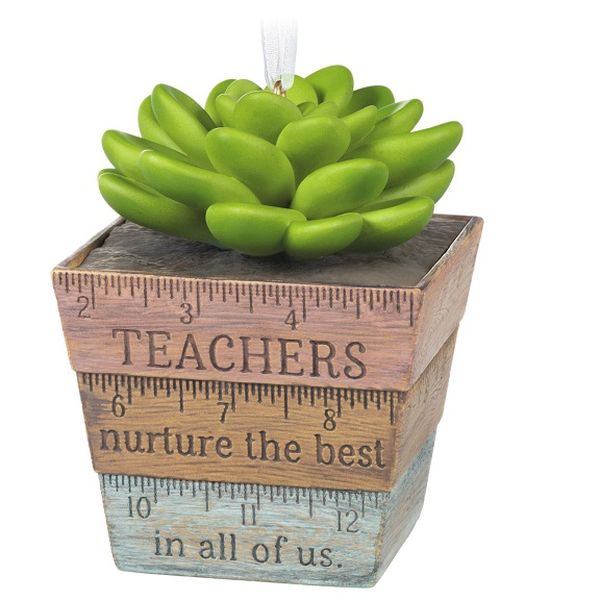 Thank You, Teacher!