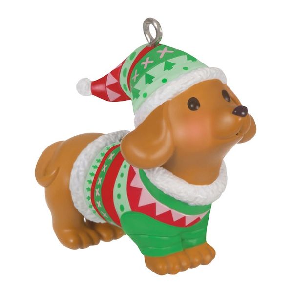 Dressed Up Dachshund