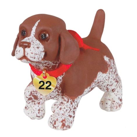 German Shorthaired Pointer