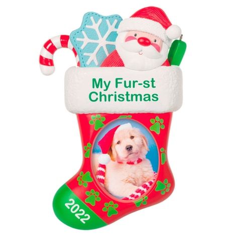 Pet’s Fur-st Christmas