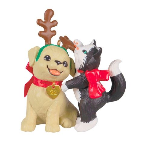 Spruced-Up Pets
