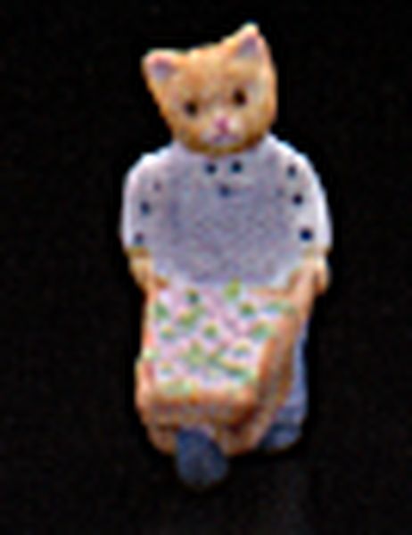 Boy Kitten-Wheelbarrow
