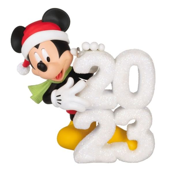A Year of Disney Magic