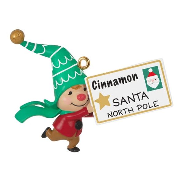 Cinnamon's Letter to Santa