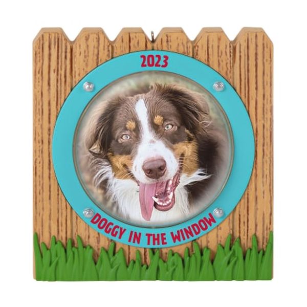 Doggy in the Window