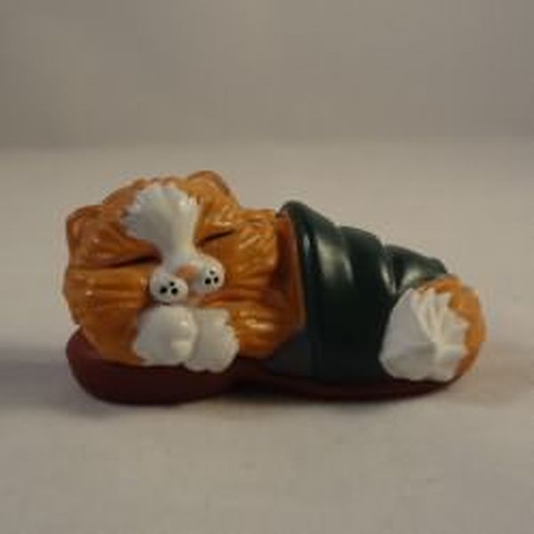 Kitten In Slipper