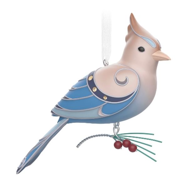Leucistic Steller's Jay