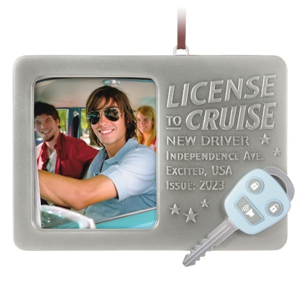 License to Cruise