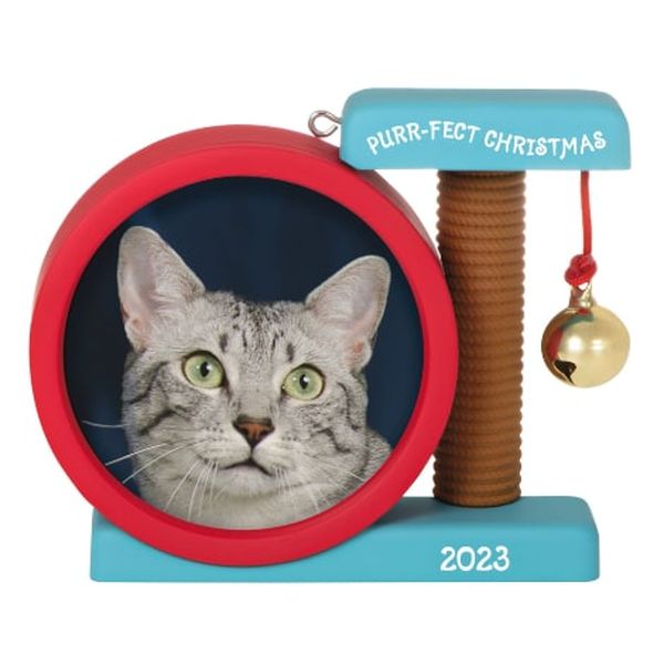 Purr-fect Christmas