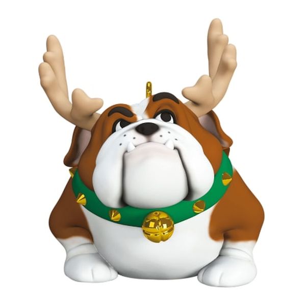 Reindoggie