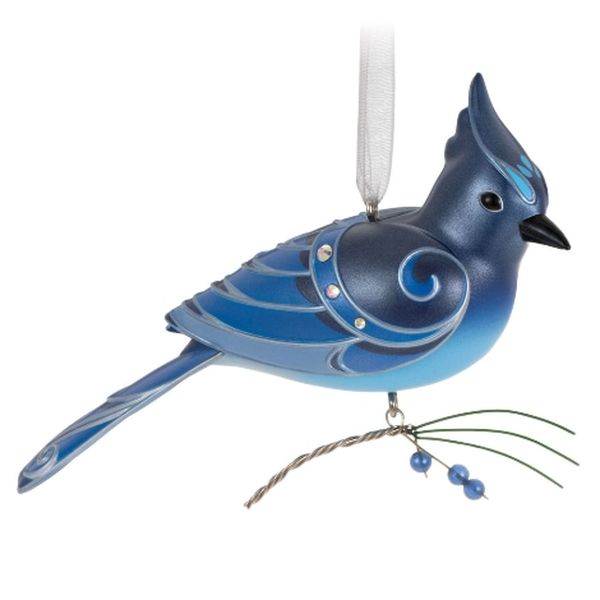 Beauty of Birds