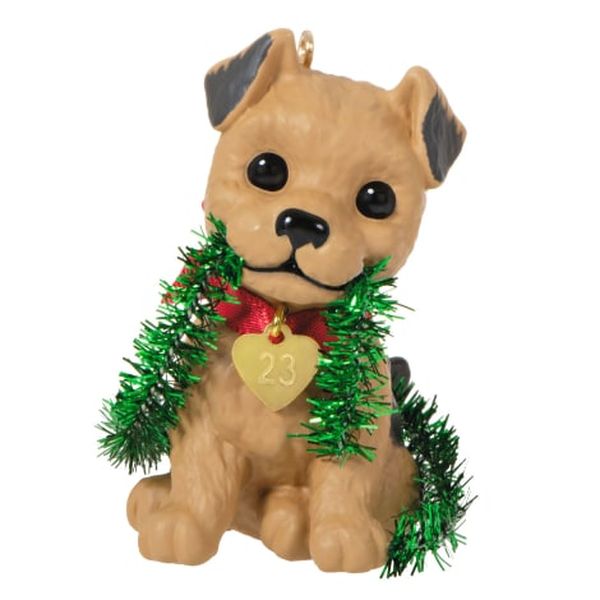 Terrier