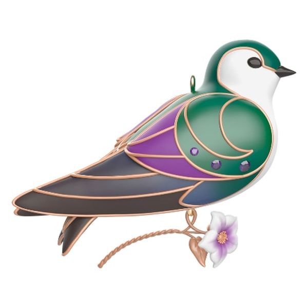 Violet-Green Swallow