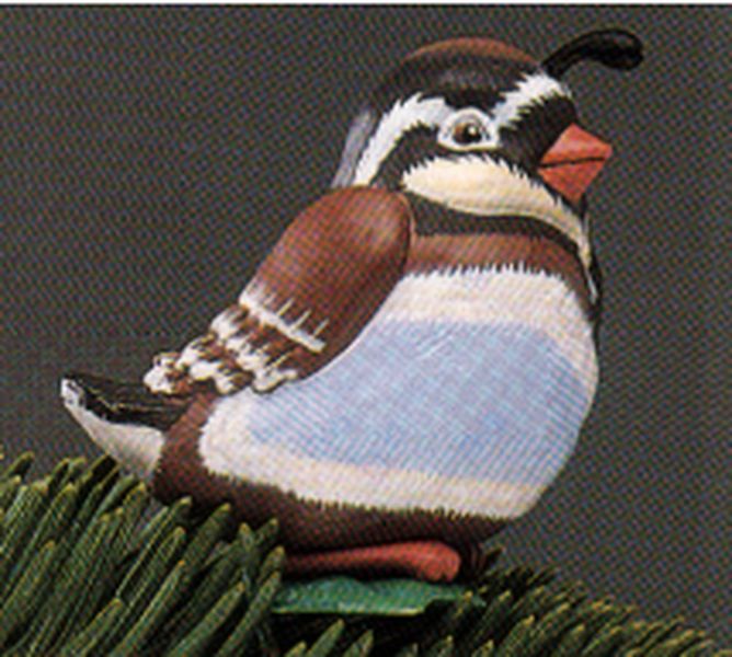 Baby Partridge