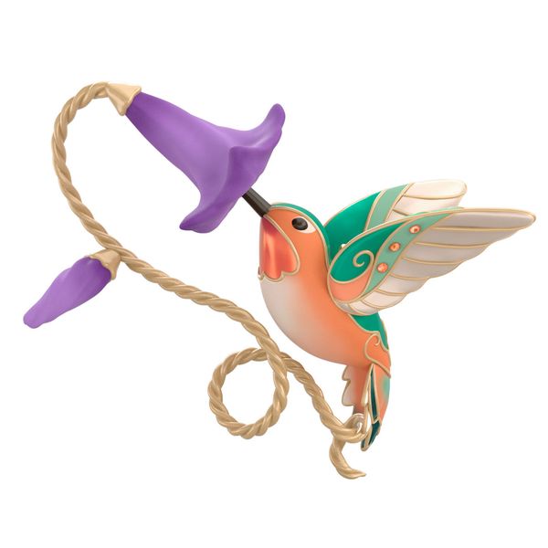 Allen's Hummingbird