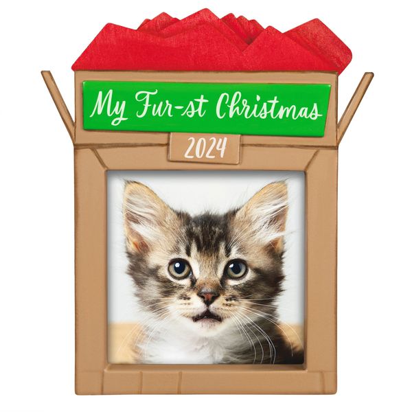 Pet's Fur-st Christmas