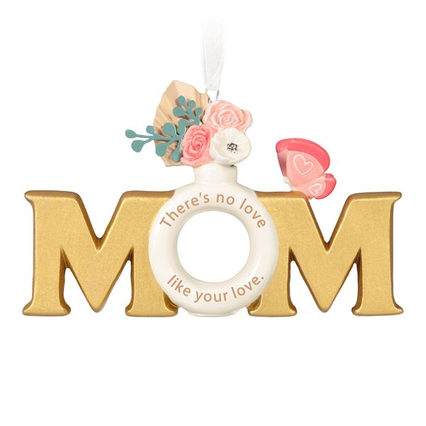 Mom's Love
