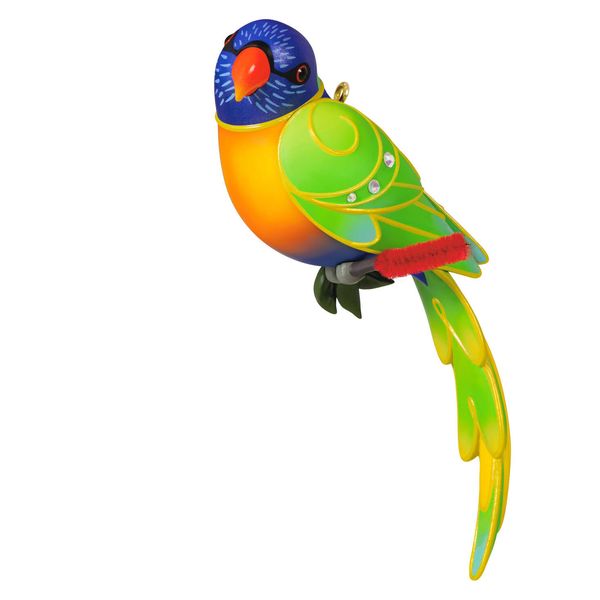 Rainbow Lorikeet