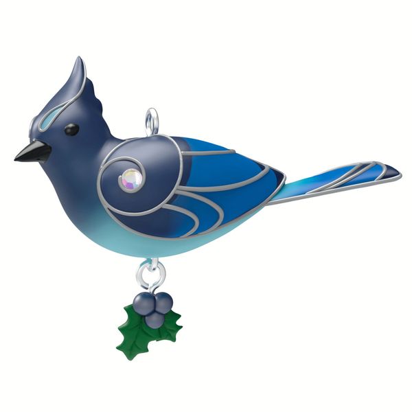 Steller's Jay
