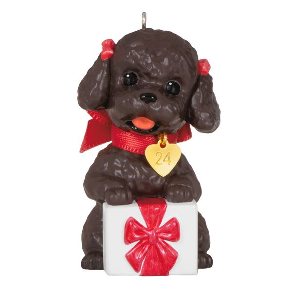 Poodle