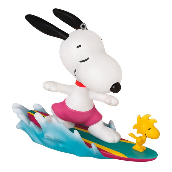 Surf's Up!