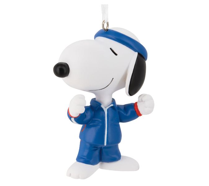 Snoopy Team USA