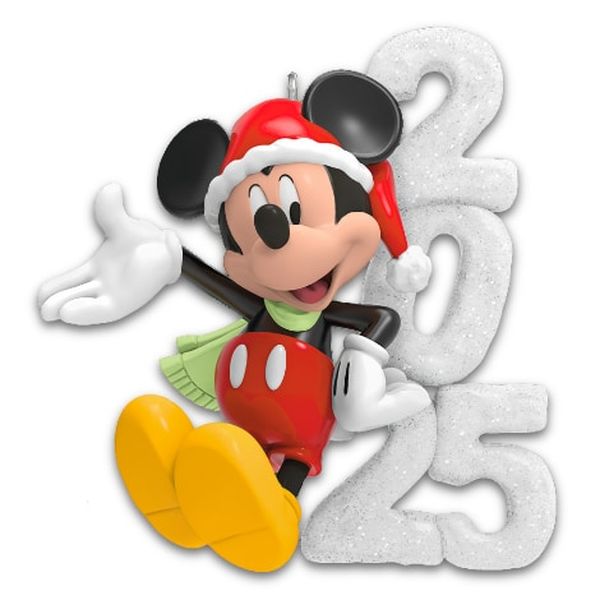 A Year of Disney Magic