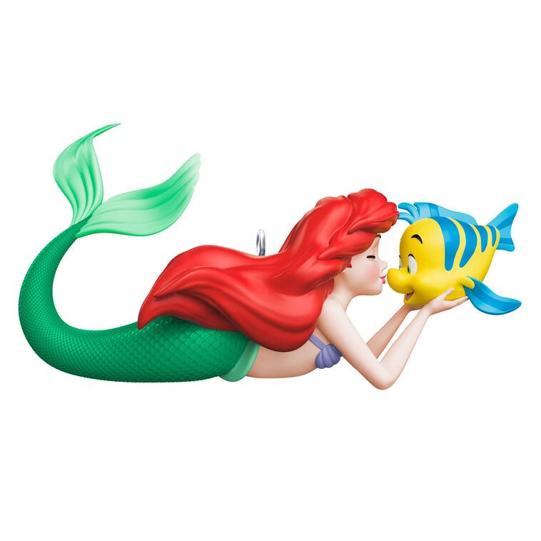 A Fin-tastic Friendship