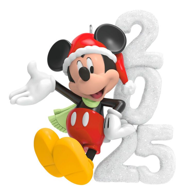 A Year of Disney Magic 2025