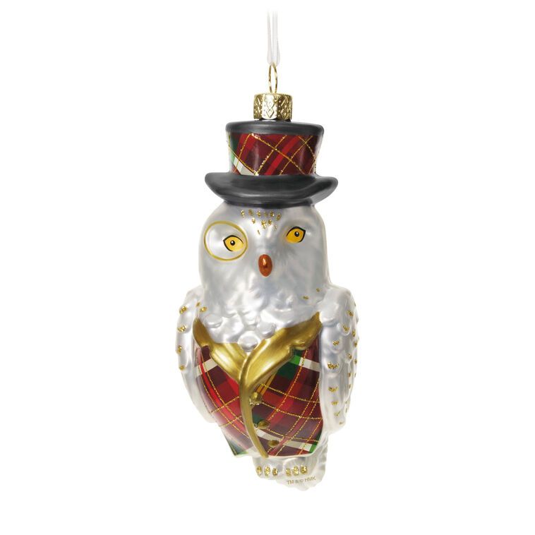 Dapper Owl