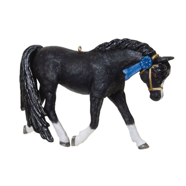 Welsh Pony