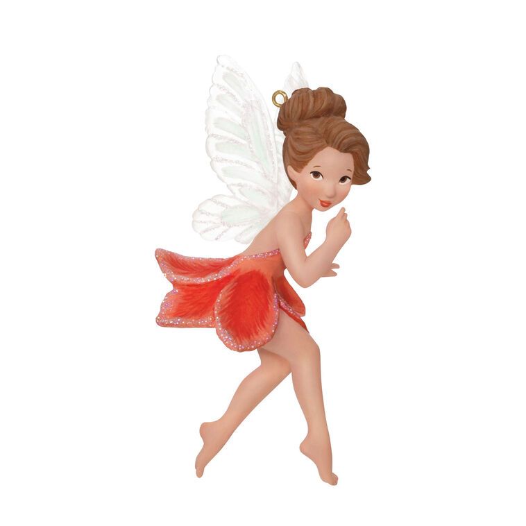 Gladiolus Fairy