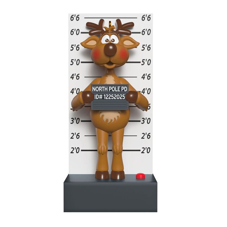 Grandma Got Run Over By a Reindeer