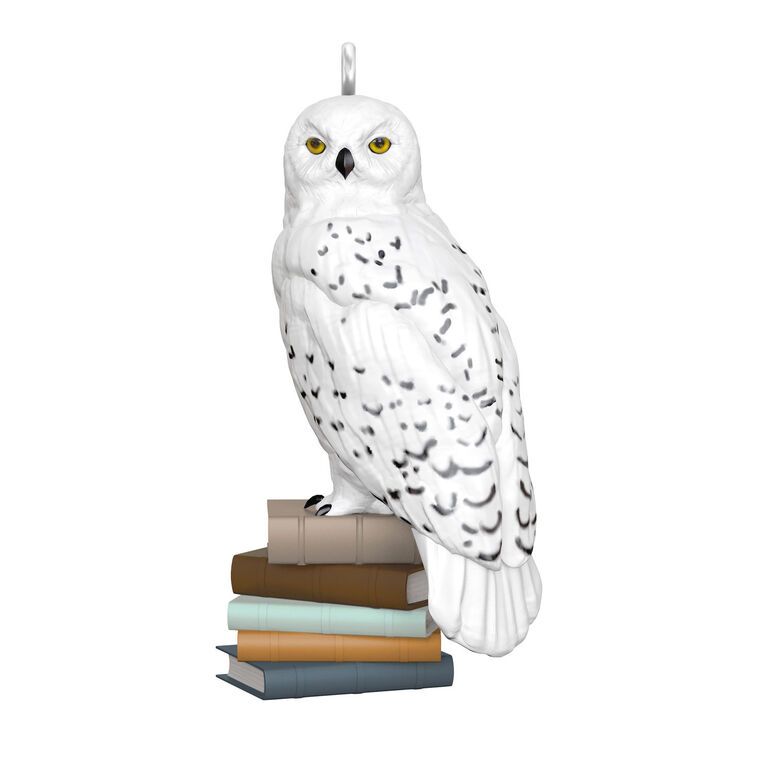 Hedwig