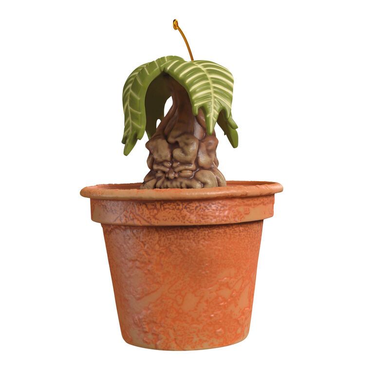 Mandrake