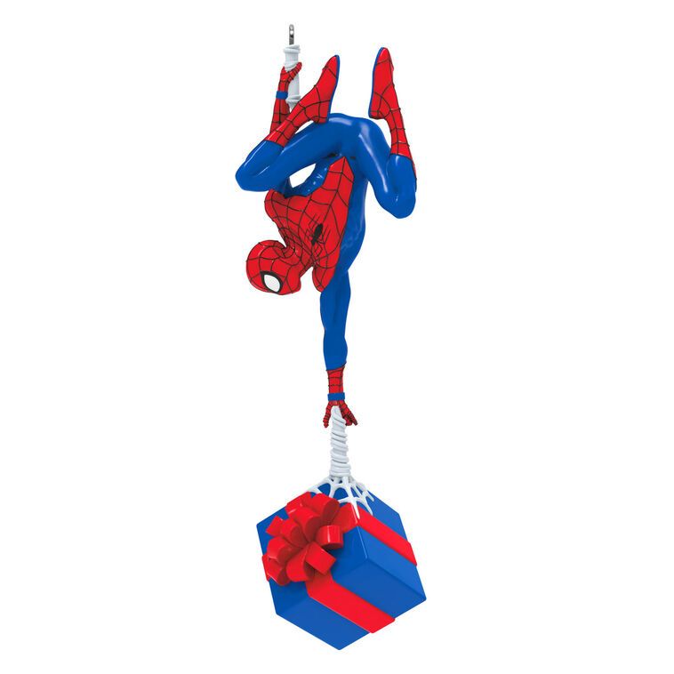 Spidey's Special Delivery