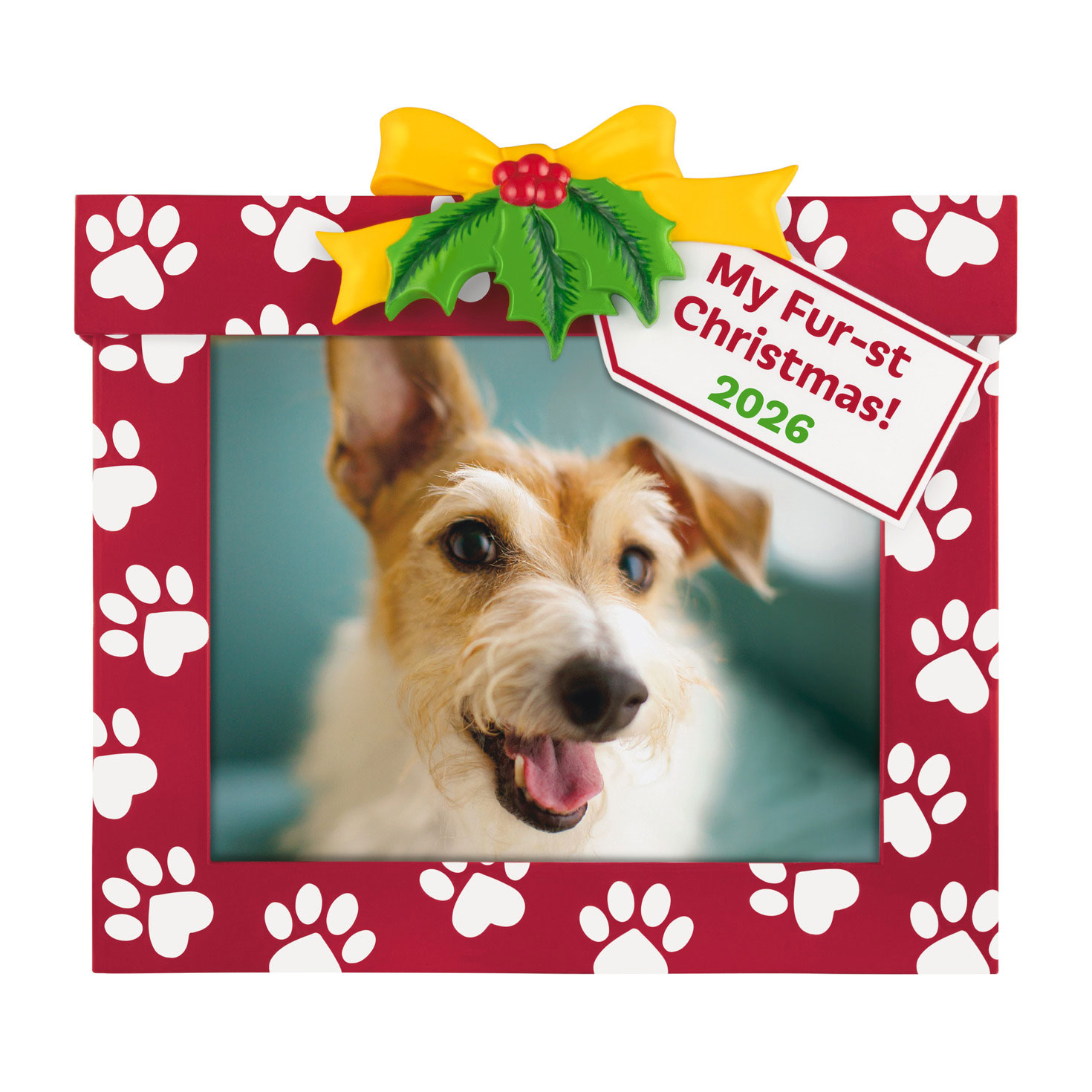 My Fur-st Christmas