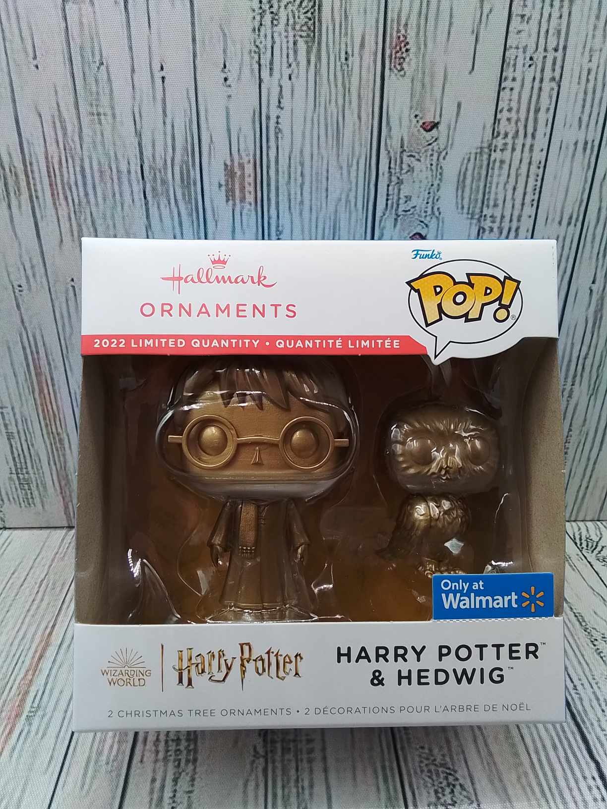 Harry Potter and Hedwig