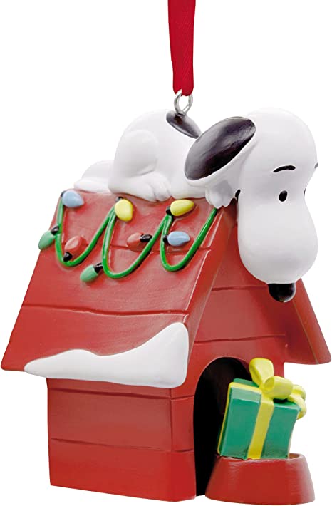 Snoopy on a Doghouse