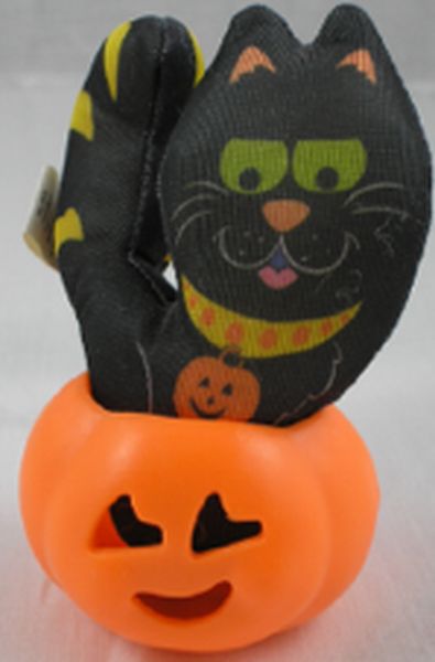 Black Cat