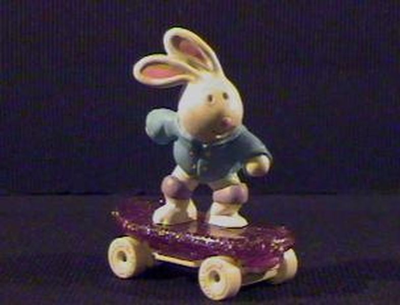 Bunny & Skateboard