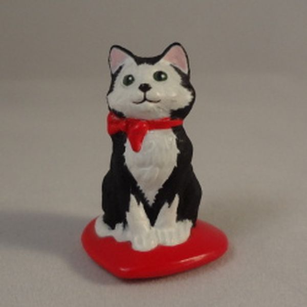 Kitten